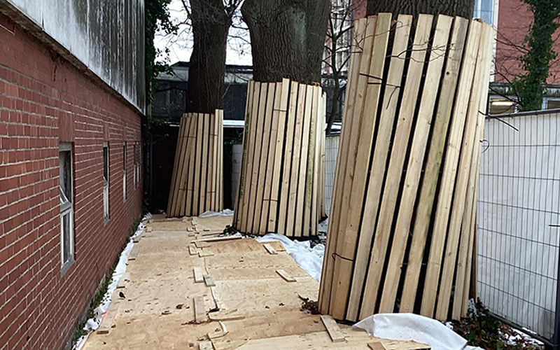 Baumschutz Produktbild